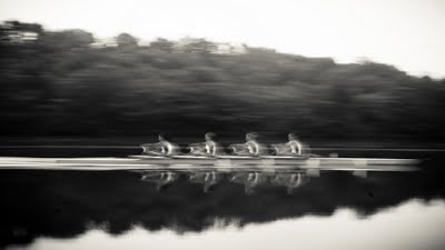 crew_94